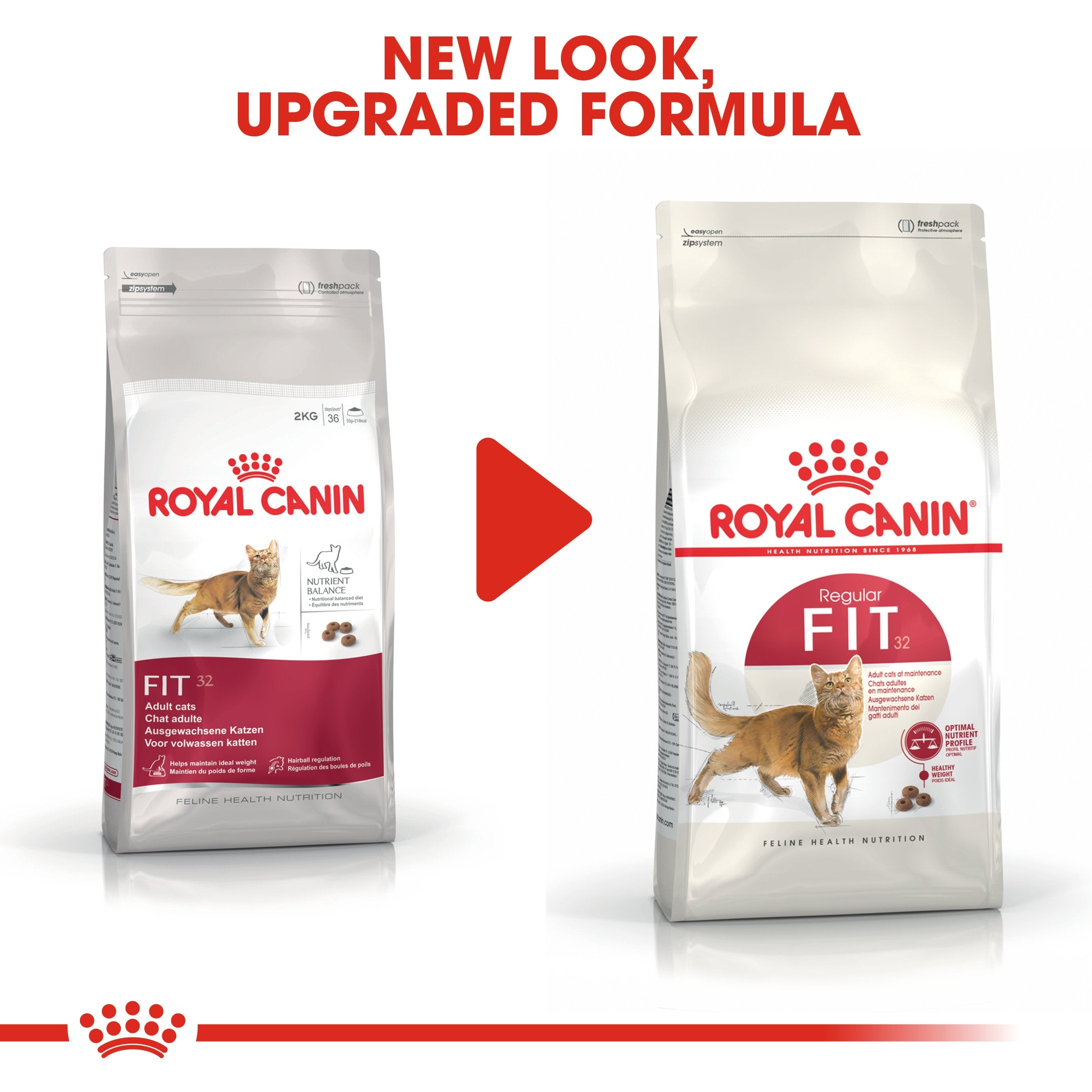 Royal Canin Fit 32 (2KG) Dry food for cats - Amin Pet Shop