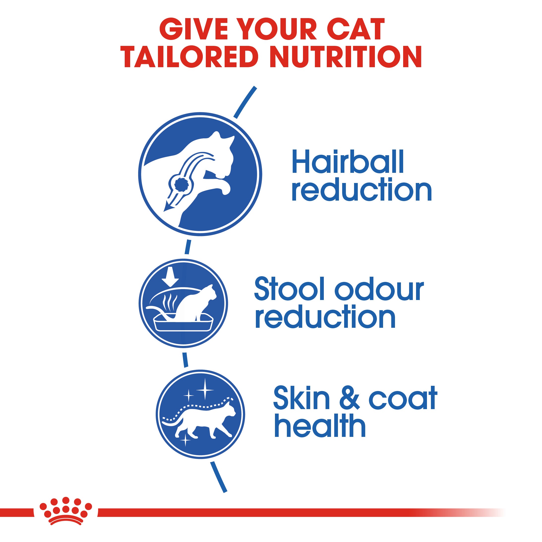 Royal Canin Indoor Long Hair 2KG | Indoor Long-haired Cats