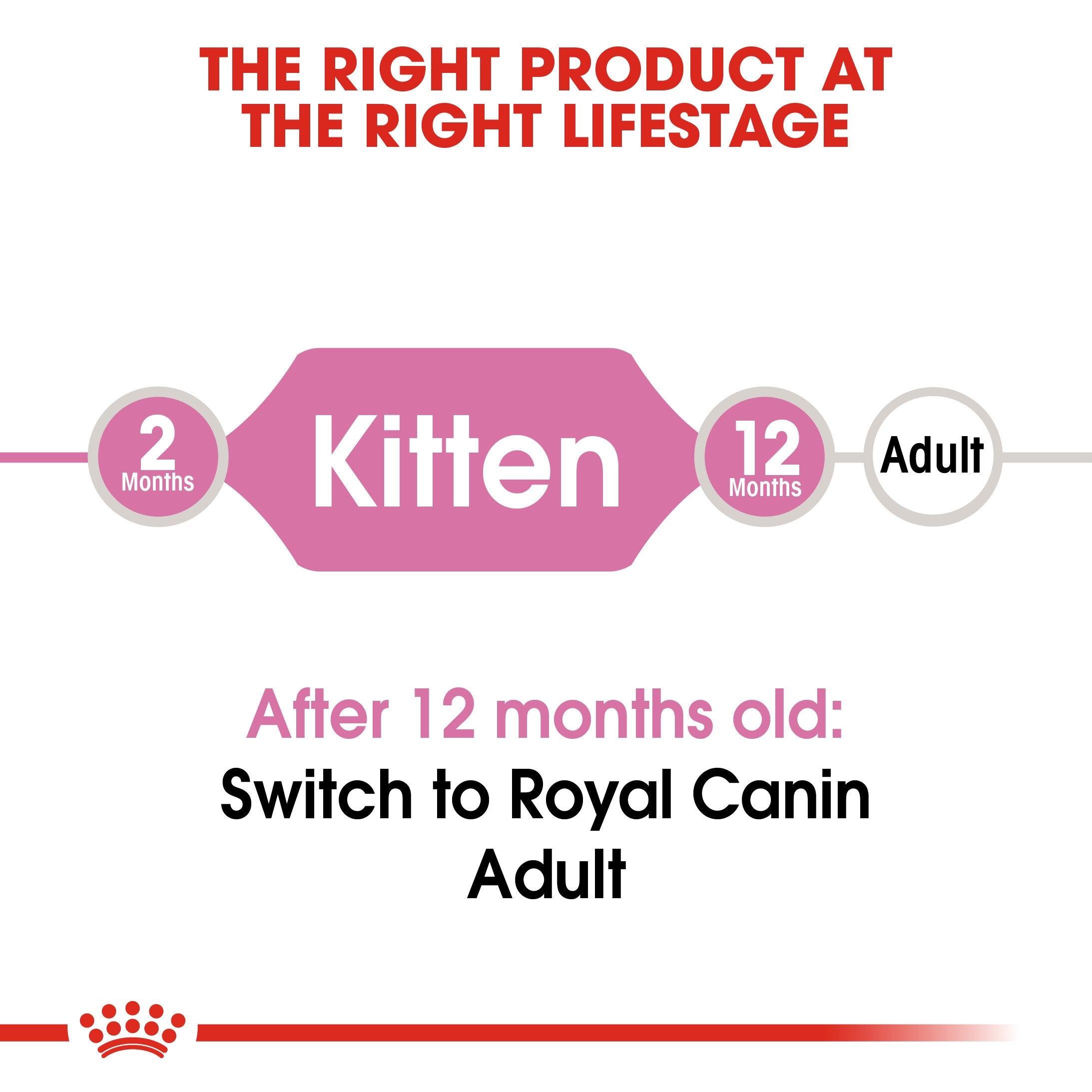 Royal Canin Second age kitten (10 KG) - Kitten up to 12 months - Amin Pet Shop