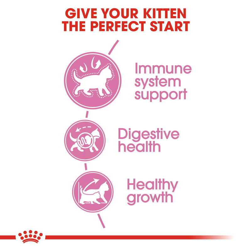 Royal Canin Second age kitten (4 KG) - Kitten up to 12 months - Amin Pet Shop