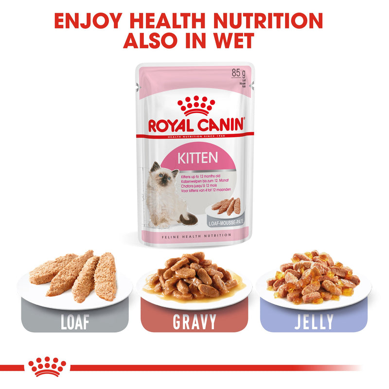 Royal Canin Second age kitten (10 KG) - Kitten up to 12 months - Amin Pet Shop
