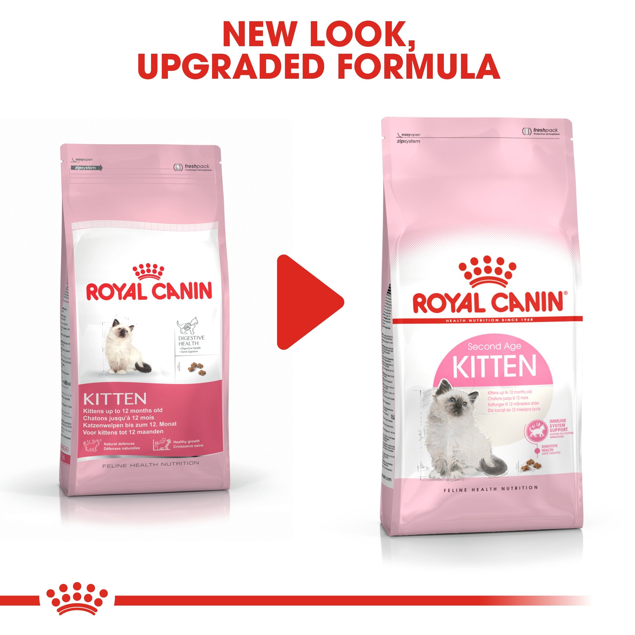 Royal Canin Second age kitten (4 KG) - Kitten up to 12 months - Amin Pet Shop