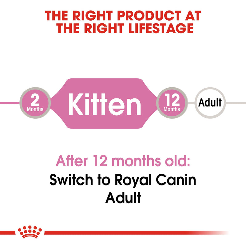 Royal Canin Kitten In Jelly (85gm\ Pouch) - wet food for kittens up to 12 months - Amin Pet Shop
