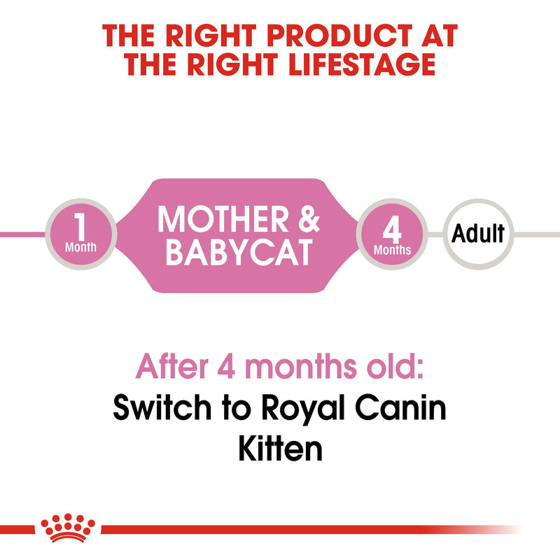 Royal Canin Mother & Babycat Instinctive (195gm/Pouch) - Amin Pet Shop