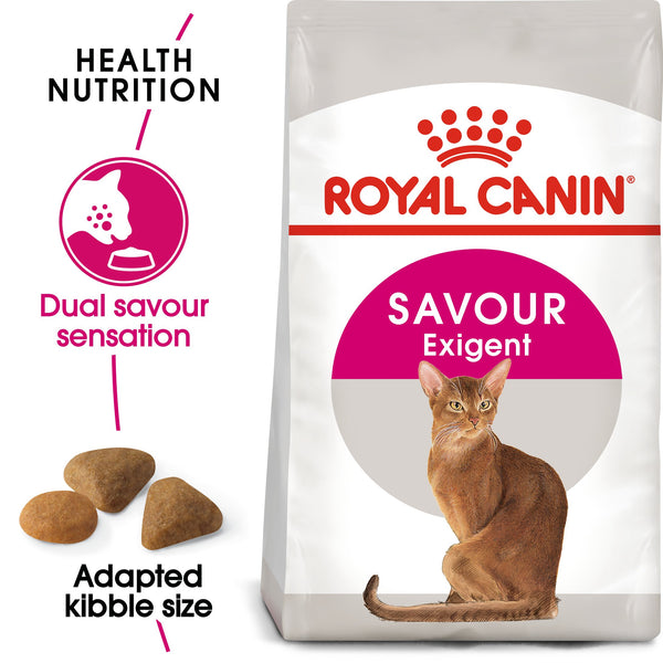 RC-FHN-SavourExigent-MV-