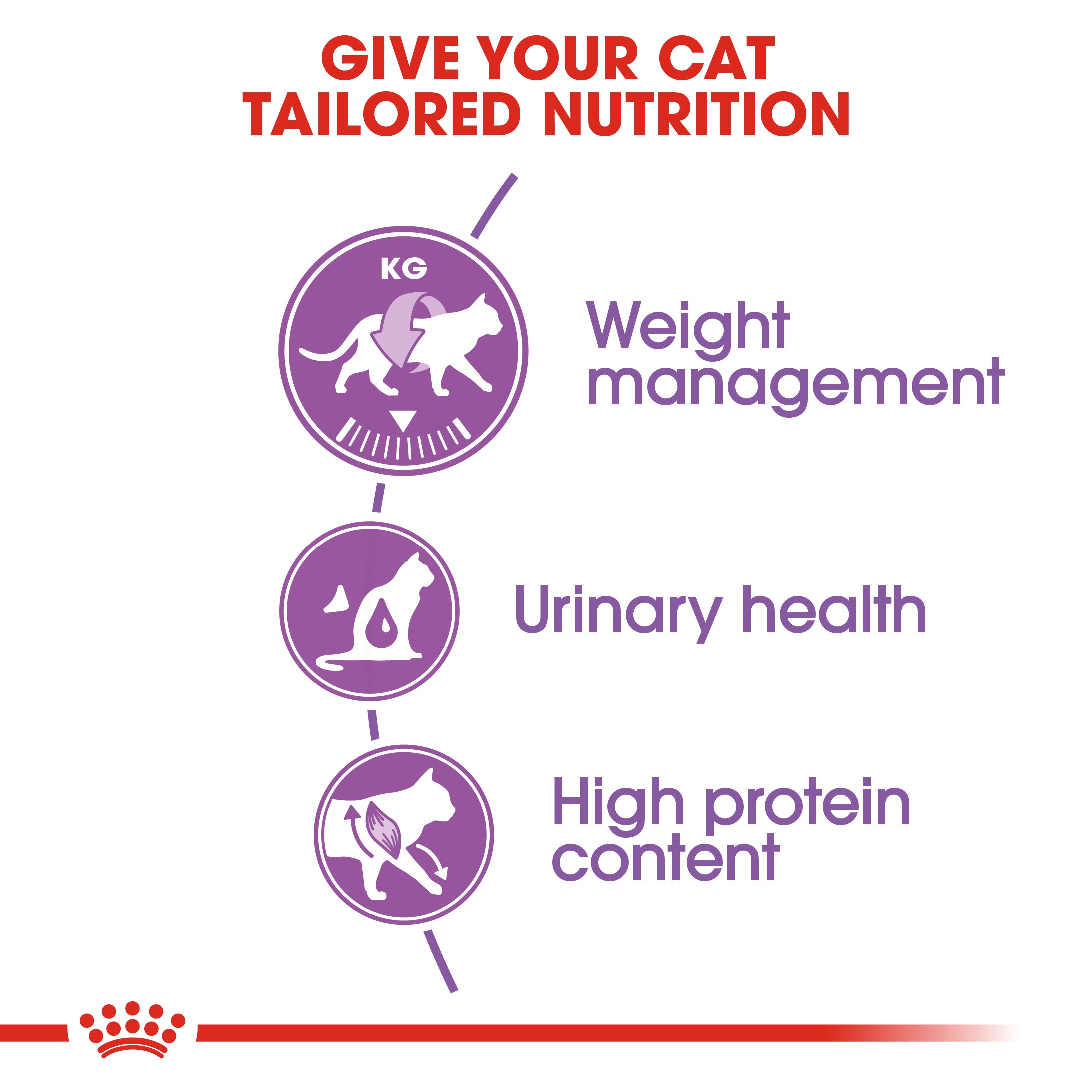 Royal Canin Sterilized 37 (2 KG) - Neutered adult cats