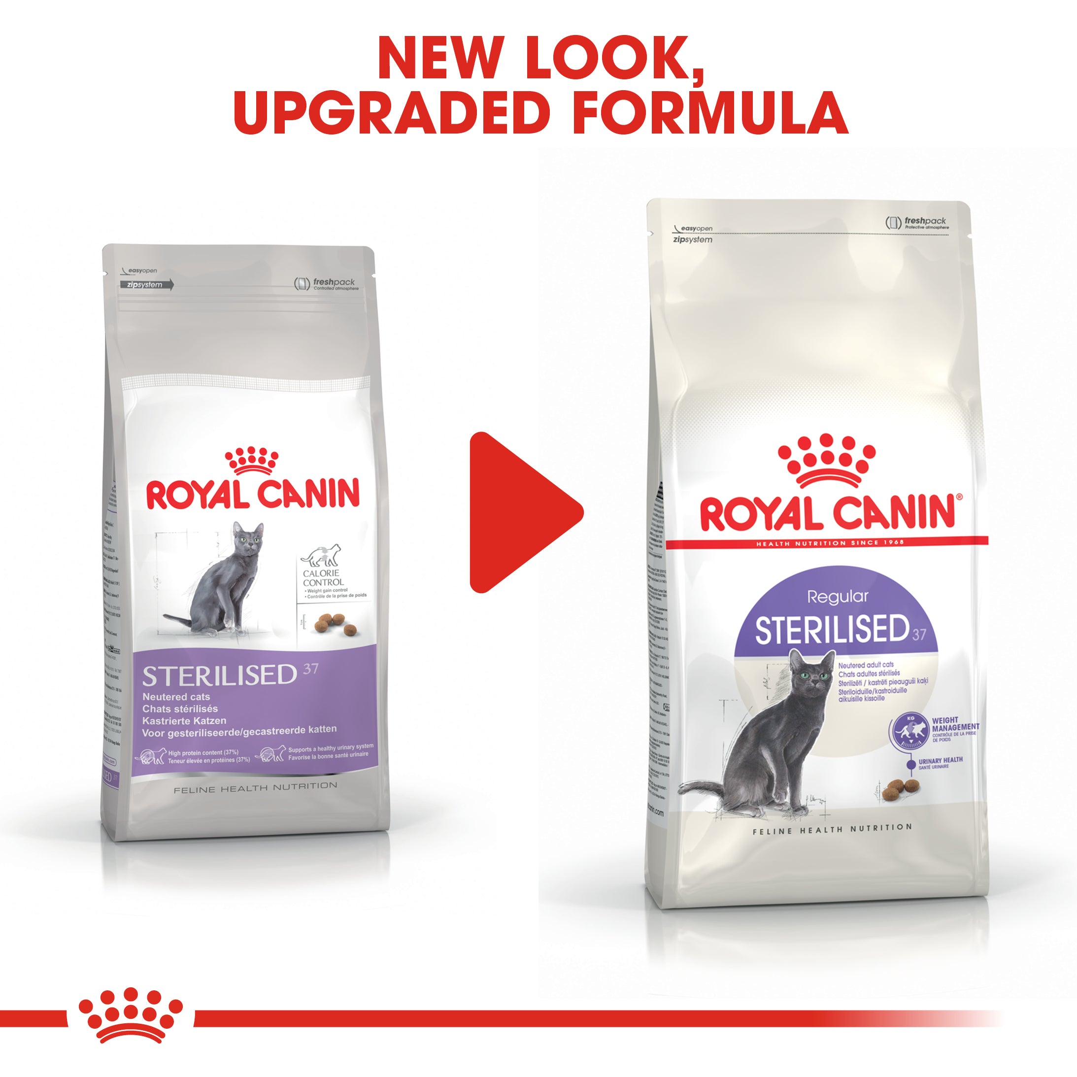 Royal Canin Sterilized 37 (2 KG) - Neutered adult cats