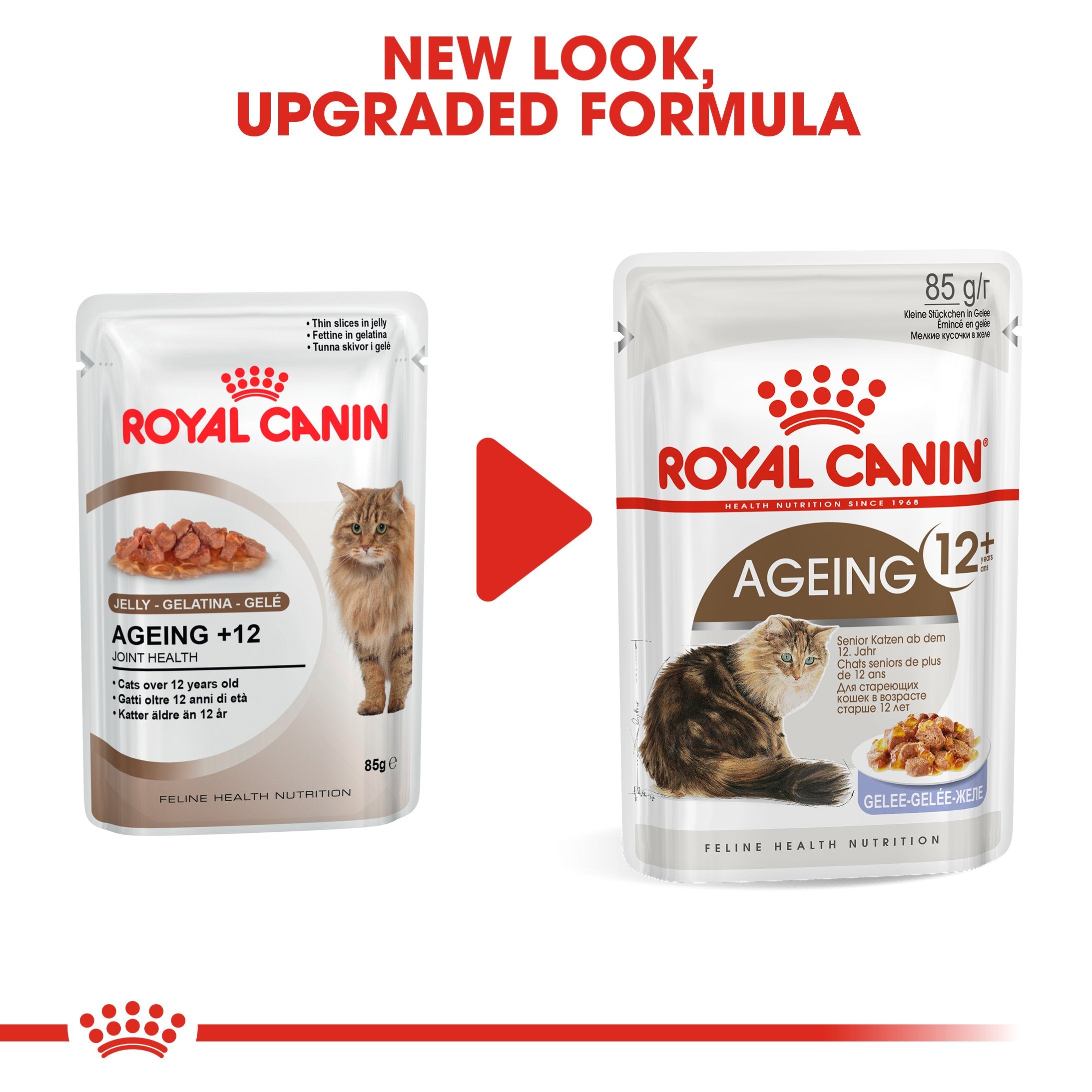 Royal Canin Ageing 12+ in Jelly (85gm\ Pouch) - Wet food for senior cats over 12 years old - Amin Pet Shop