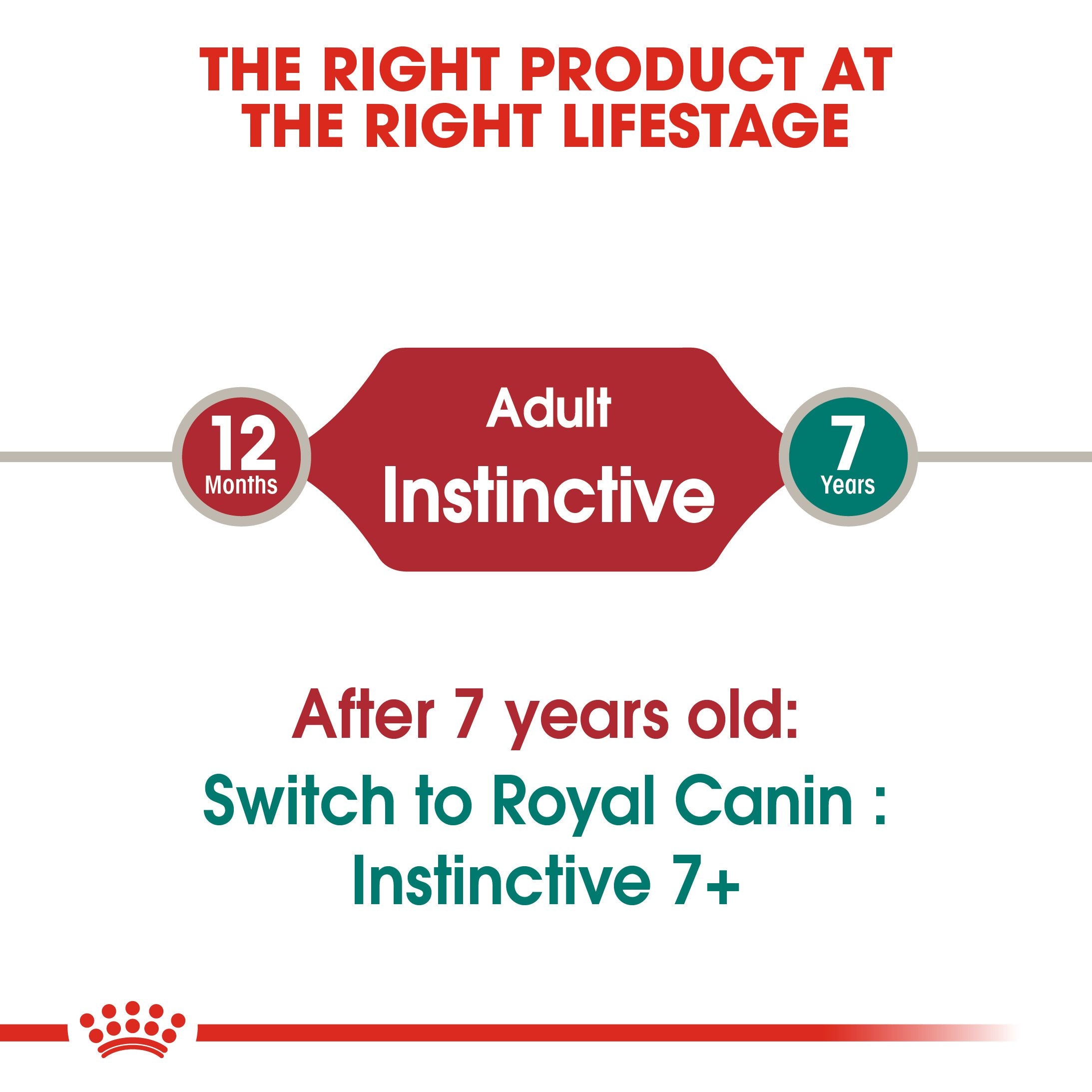 Royal Canin Instinctive in Jelly (85gm\ Pouch) - Wet food for adult cat - Amin Pet Shop