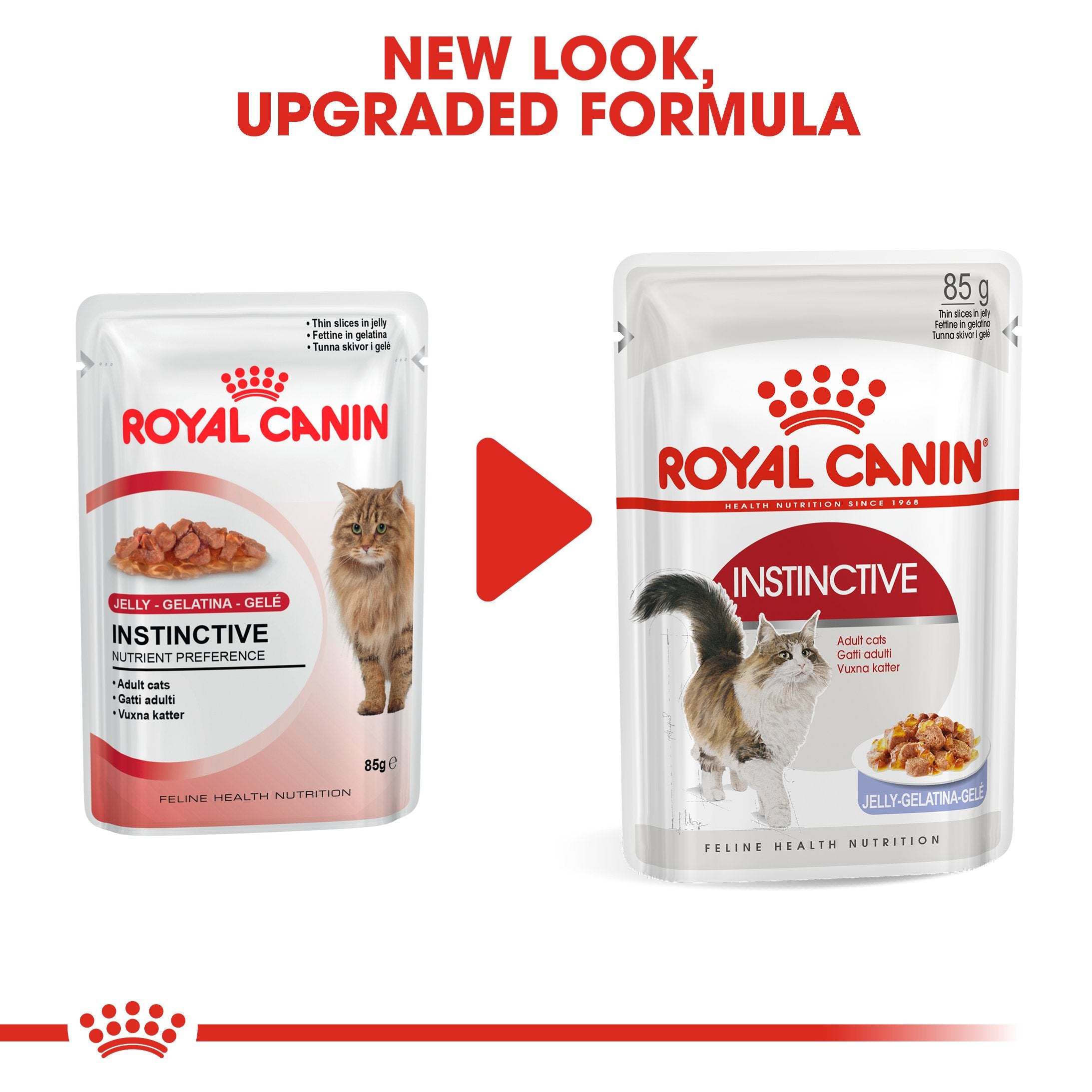 Royal Canin Instinctive in Jelly (85gm\ Pouch) - Wet food for adult cat - Amin Pet Shop