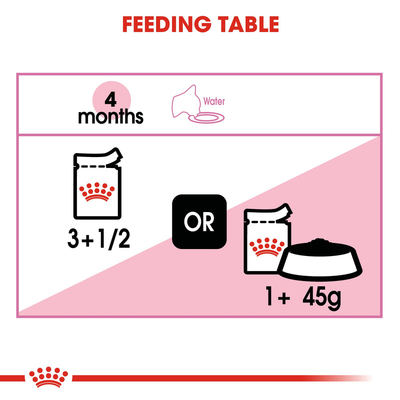 Royal Canin Kitten In Jelly (85gm\ Pouch) - wet food for kittens up to 12 months - Amin Pet Shop