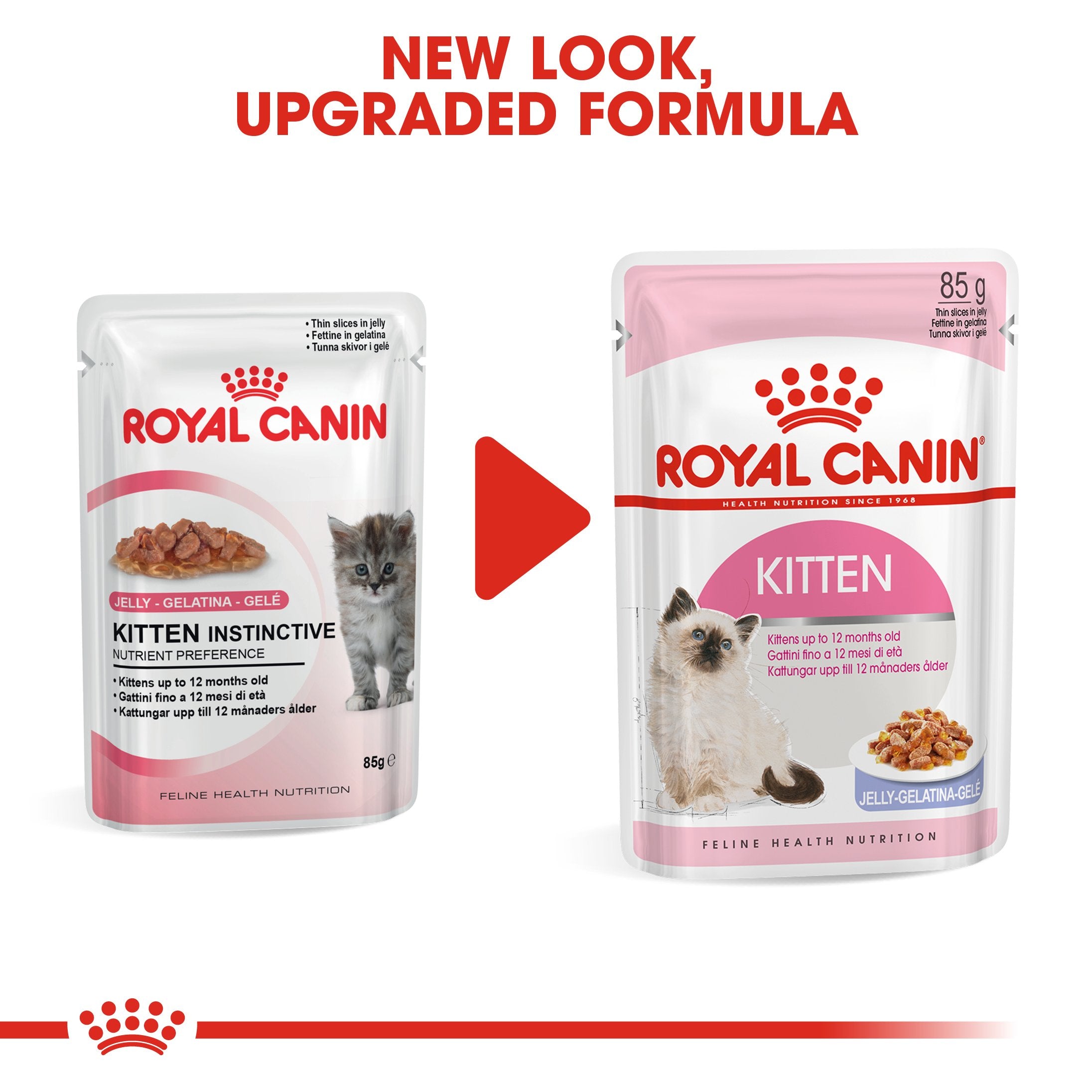 Royal Canin Kitten In Jelly (85gm\ Pouch) - wet food for kittens up to 12 months - Amin Pet Shop