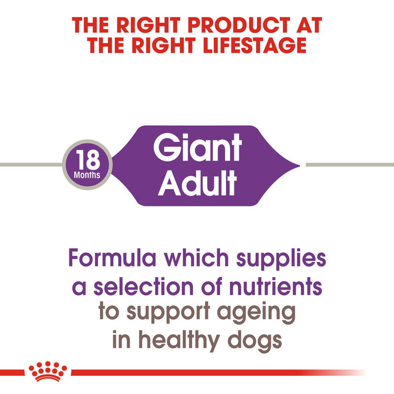Royal Canin Giant Adult (4KG) - Dry food for giant active dogs. Adult weight from 45 kg and over - over 18\24 months - Amin Pet Shop