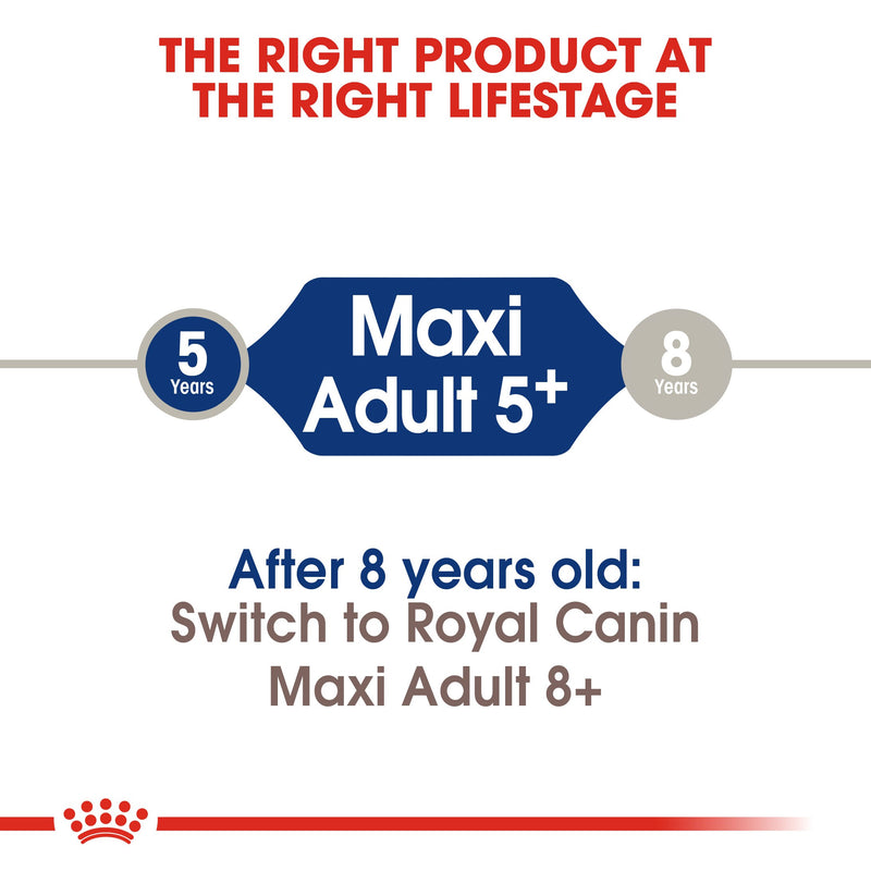 Royal Canin Maxi Adult 5+ (15 KG) - Dry food for large dogs from 26 to 44 KG. from 5 to 8 years old - Amin Pet Shop