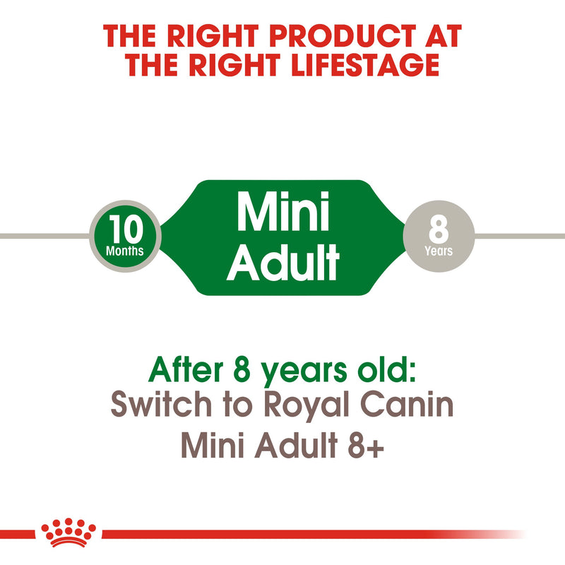 Royal Canin Mini Adult (2KG) - Dry food for small dogs up to 10 KG - form 10 months to 8 years - Amin Pet Shop
