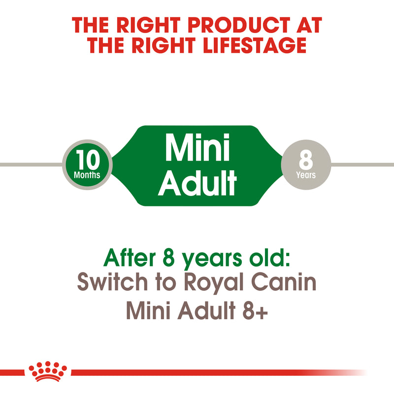 Royal Canin Mini Adult (4 KG) - Dry food for small dogs up to 10 KG - form 10 months to 8 years