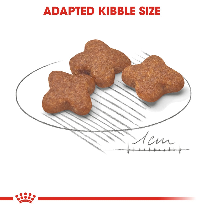 Royal Canin Mini Adult 8+ (2 KG) - Dry food for small dogs up to 10 KG - from 8 to 12 years