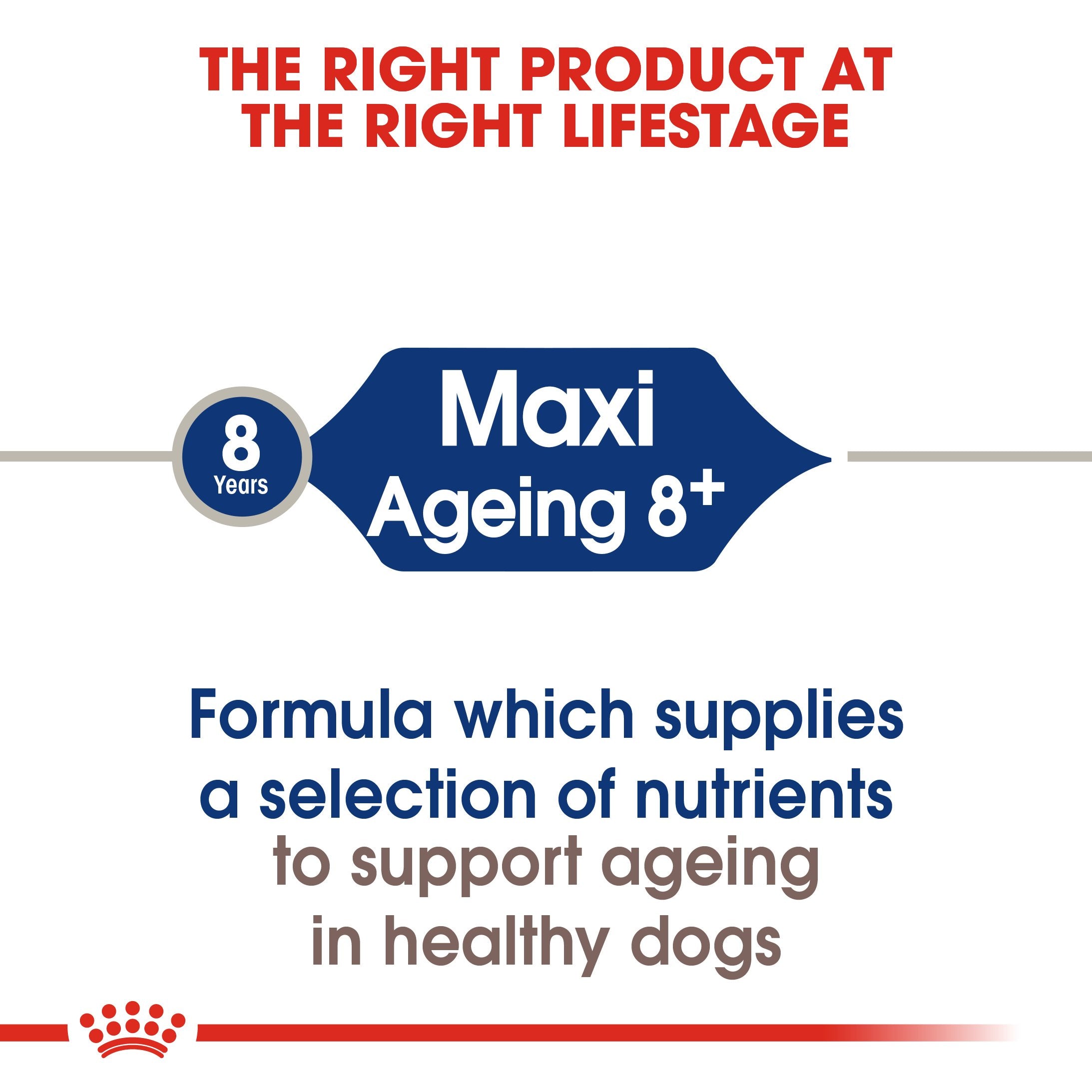 Royal Canin Maxi Ageing 8+ (15 KG) - Dry food for large dogs - adult weight between 26 and 44 KG. for dogs over 8 years old - Amin Pet Shop