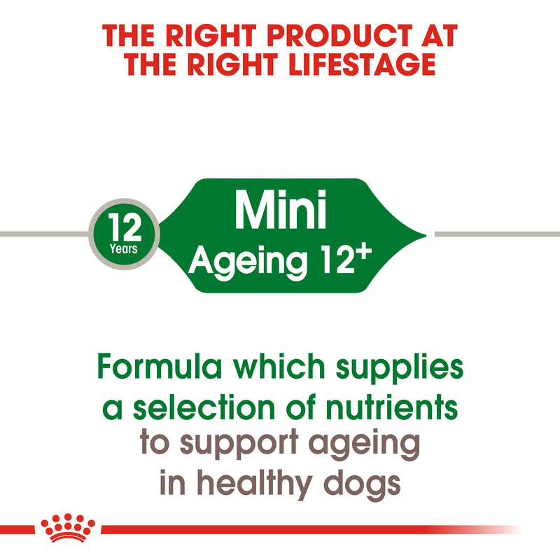 Royal Canin Mini Ageing 12+ (1.5 KG) - Dry food for small dogs up to 10 KG - over 12 years