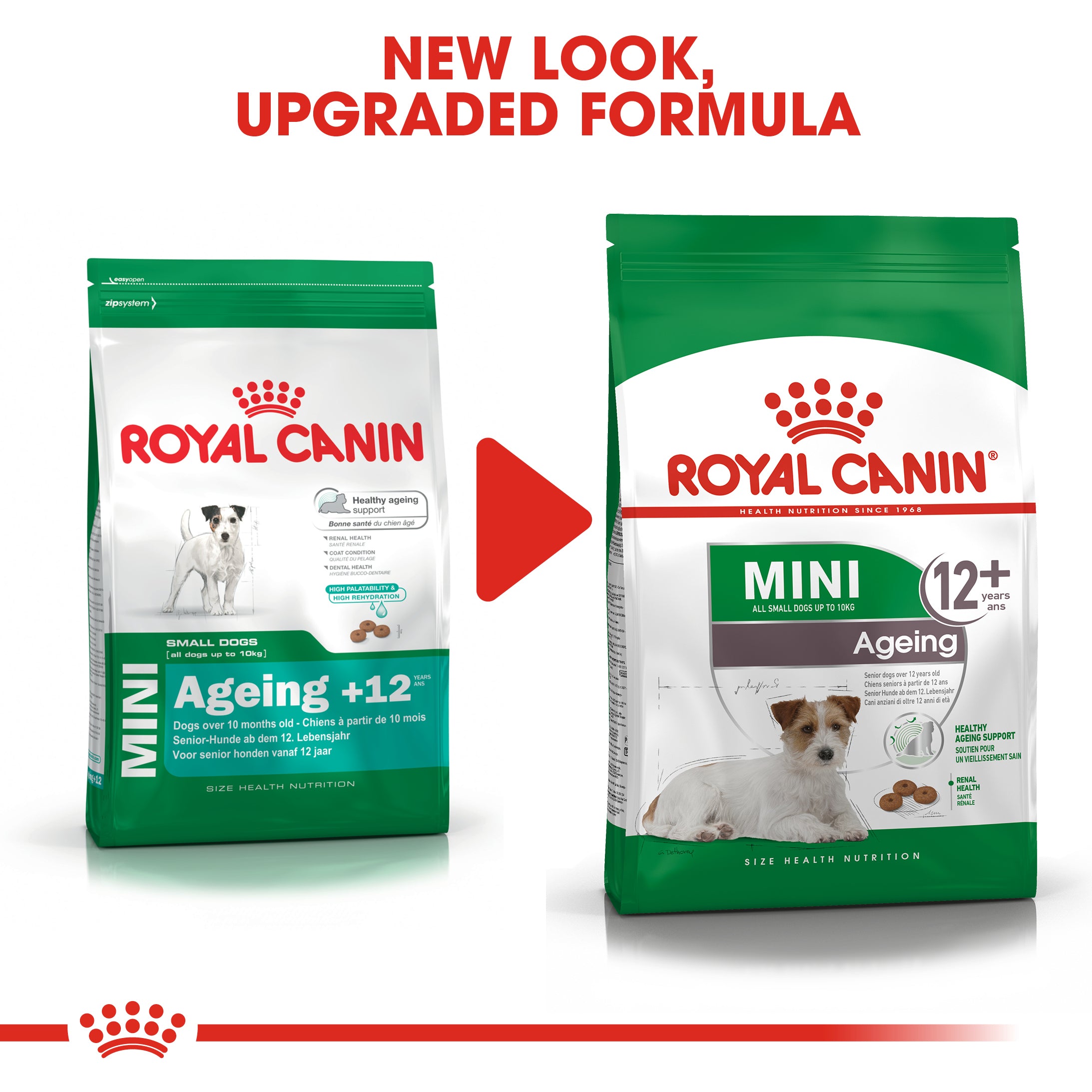 Royal Canin Mini Ageing 12+ (1.5 KG) - Dry food for small dogs up to 10 KG - over 12 years