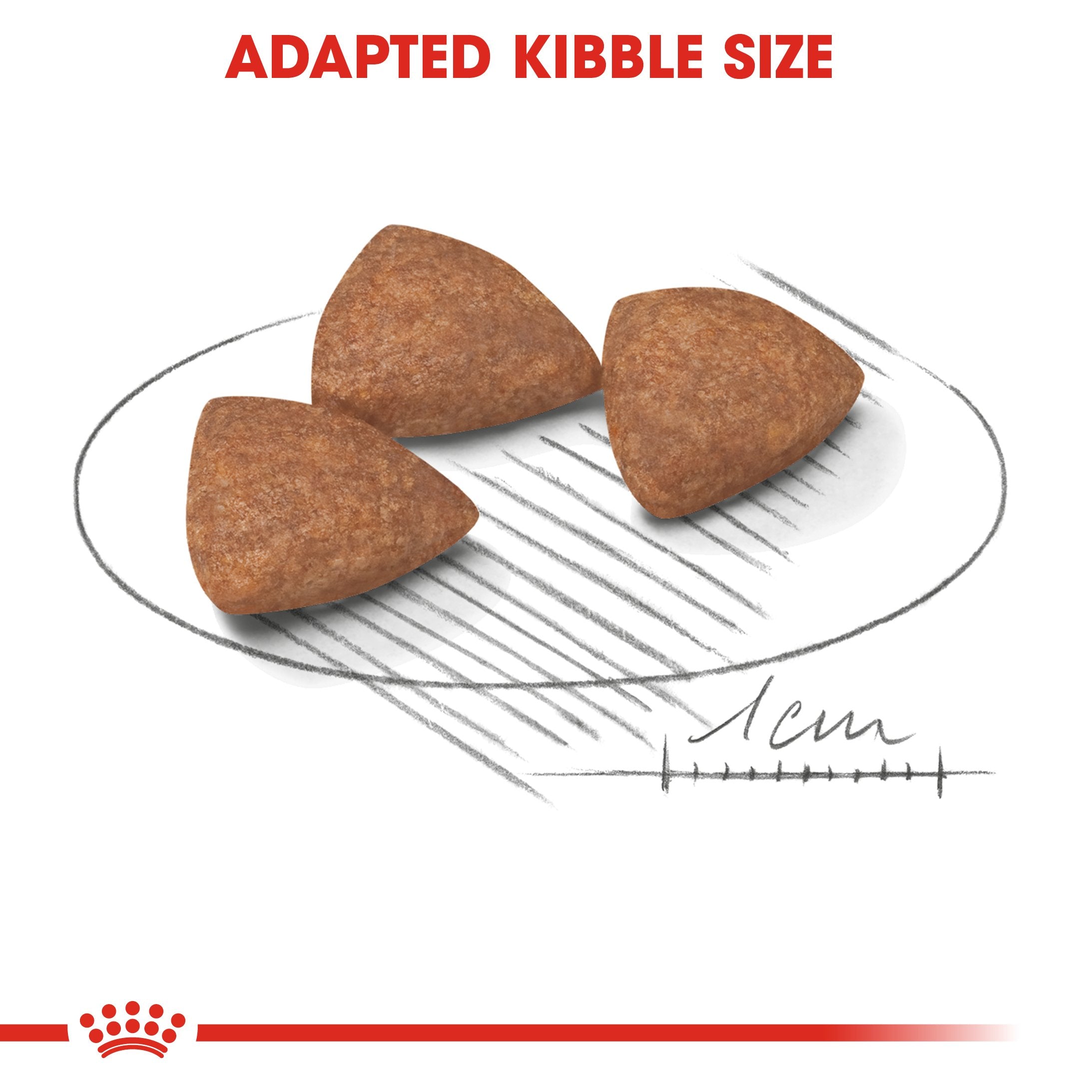 Royal Canin Mini Indoor Adult | up to 10KG | >10 mos | 1.5KG