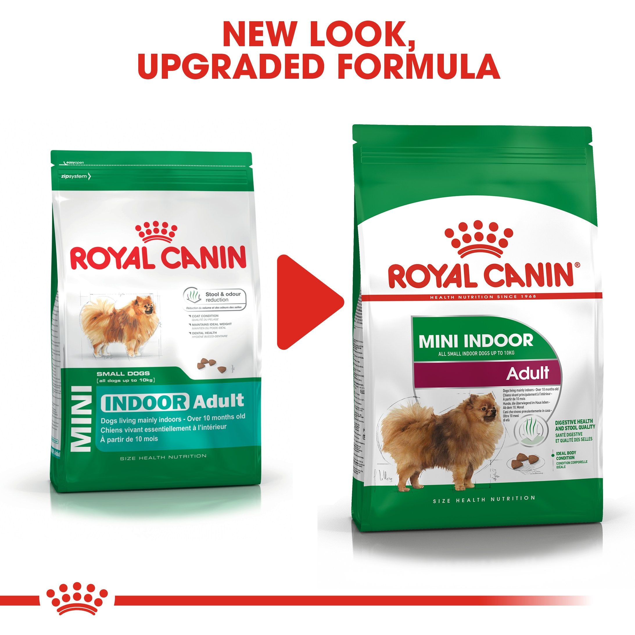 Royal Canin Mini Indoor Life Adult (1.5 KG) - Dry food for small breed dogs ( over 10 months old and weight up to 10 KG) - Living mainly indoors - Amin Pet Shop