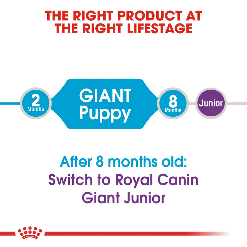 Royal Canin Giant Puppy (3.5 KG) - Dry food for giant dogs. Adult weight from 45 KG and over - from 2 to 8 months old - Amin Pet Shop