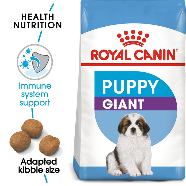 RC-SHN-PuppyGiant-MV-