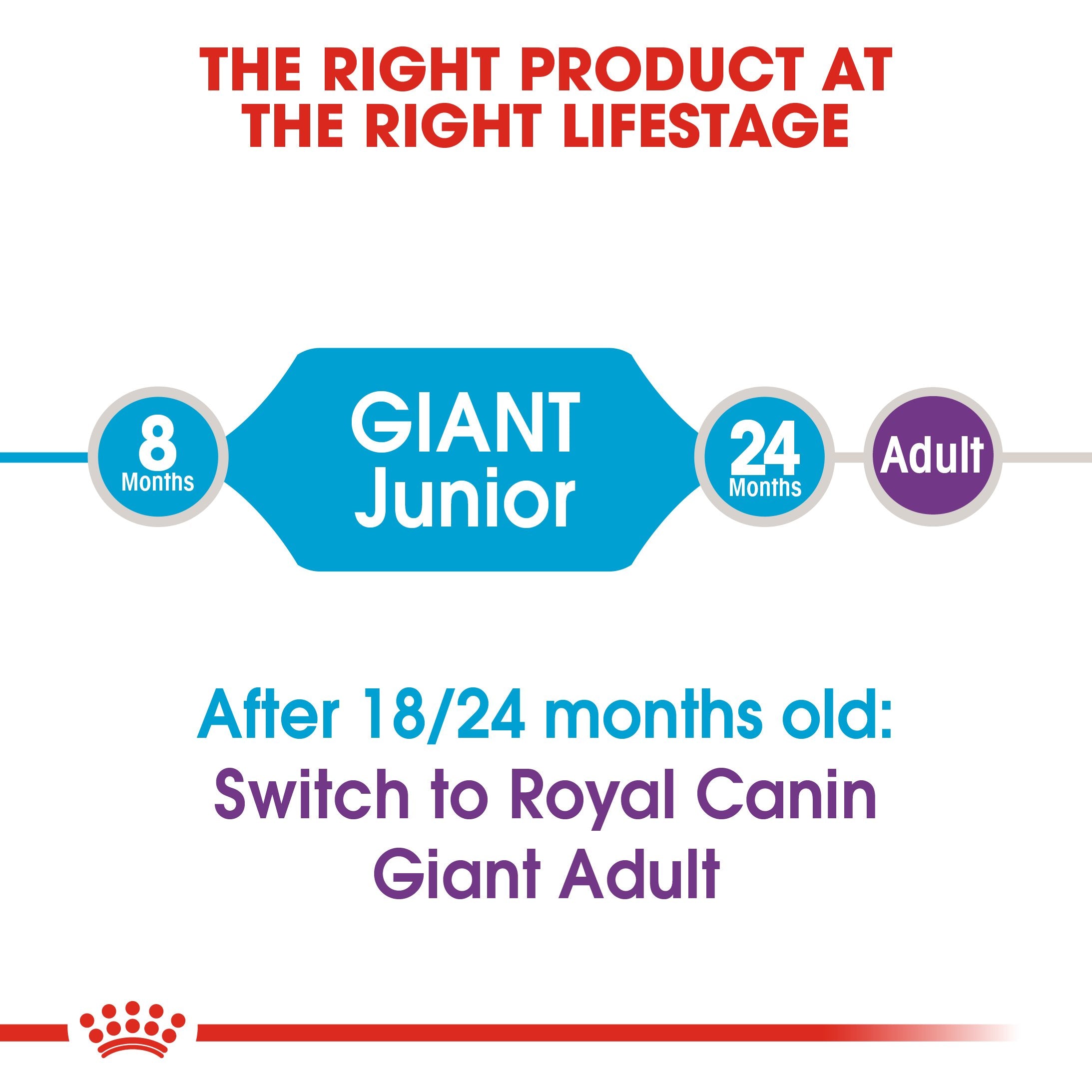 Royal Canin Giant Junior (15 KG) - Dry food for giant dogs - Adults weight from 45 KG and over - from 8 months to 18\24 months - Amin Pet Shop