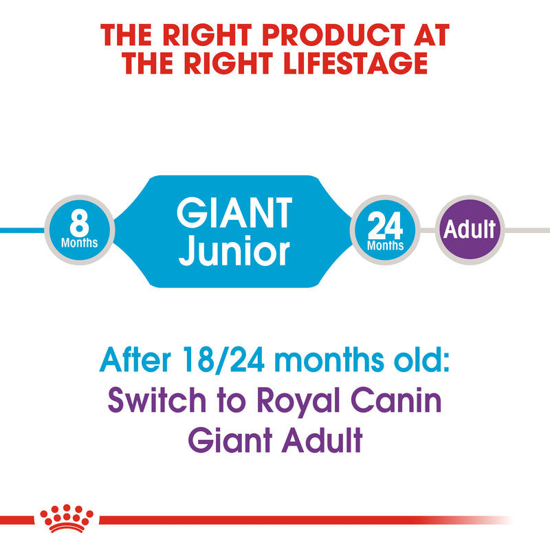 Royal Canin Giant Junior (3.5 KG) - Dry food for giant dogs - Adults weight from 45 KG and over - from 8 months to 18\24 months