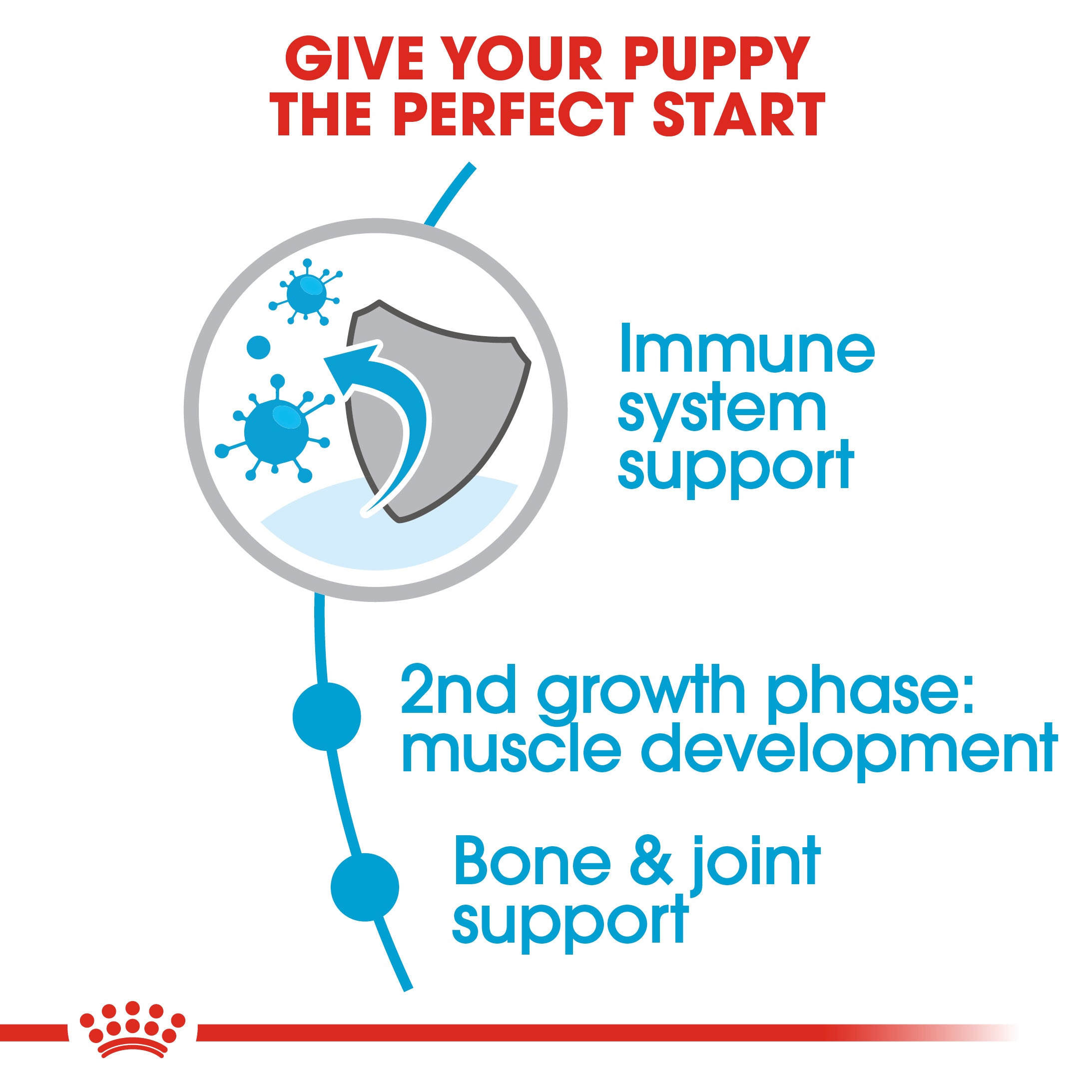 Royal Canin Giant Junior (3.5 KG) - Dry food for giant dogs - Adults weight from 45 KG and over - from 8 months to 18\24 months