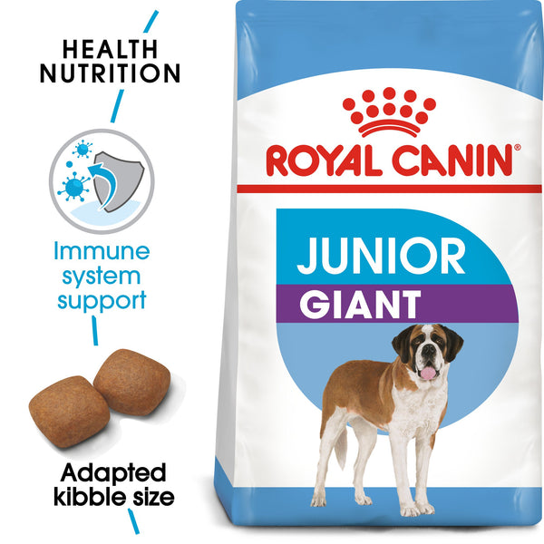 RC-SHN-PuppyGiantJunior-MV-