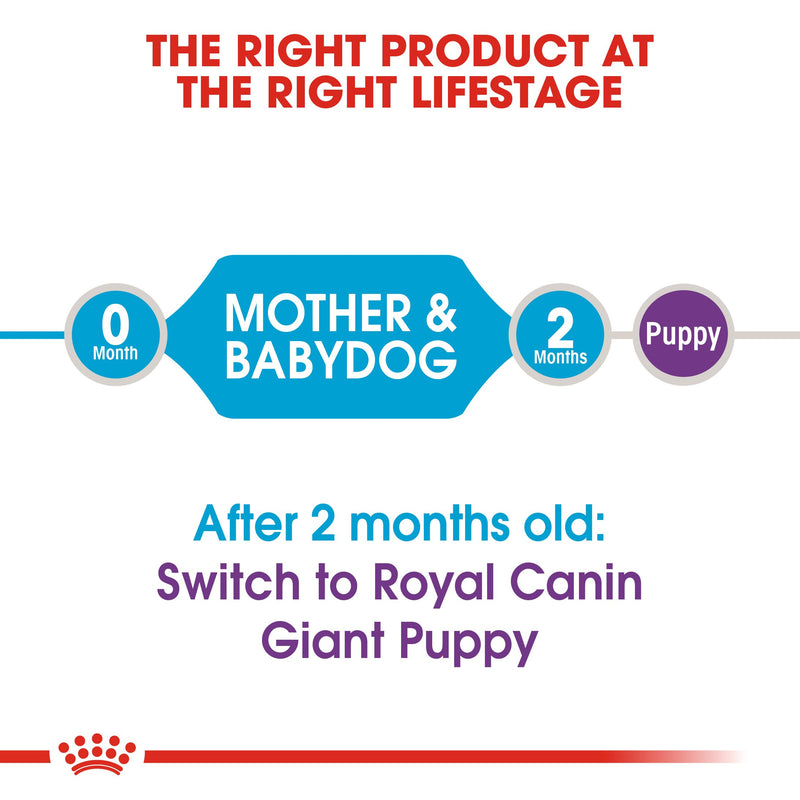 Royal Canin Giant Starter Mother & Babydog (15 KG) - Dry food for giant puppies. Adult weight from 45 KG and over - Mother during gestation and lactation - Weaning puppies up to 2 months - Amin Pet Shop