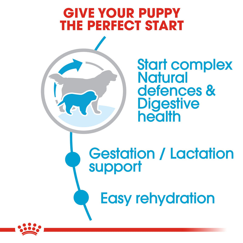 Royal Canin Giant Starter Mother & Babydog (15 KG) - Dry food for giant puppies. Adult weight from 45 KG and over - Mother during gestation and lactation - Weaning puppies up to 2 months - Amin Pet Shop