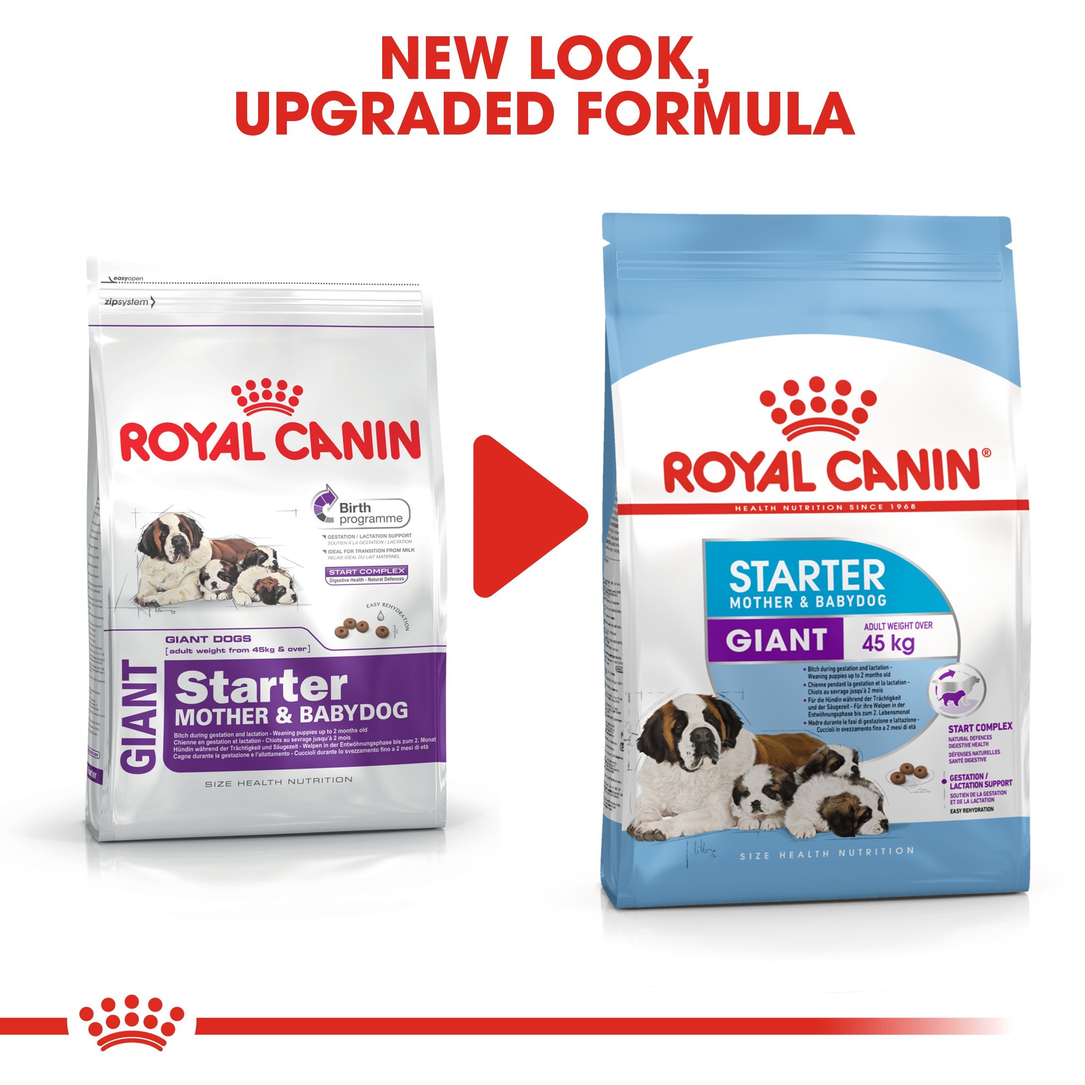 Royal Canin Giant Starter Mother & Babydog (15 KG) - Dry food for giant puppies. Adult weight from 45 KG and over - Mother during gestation and lactation - Weaning puppies up to 2 months - Amin Pet Shop