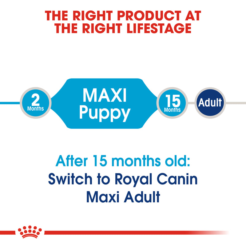 Royal Canin Maxi Puppy (4 KG) - Dry food for large dogs - Adult weight from 26 to 44 KG. From 2 to 15 months