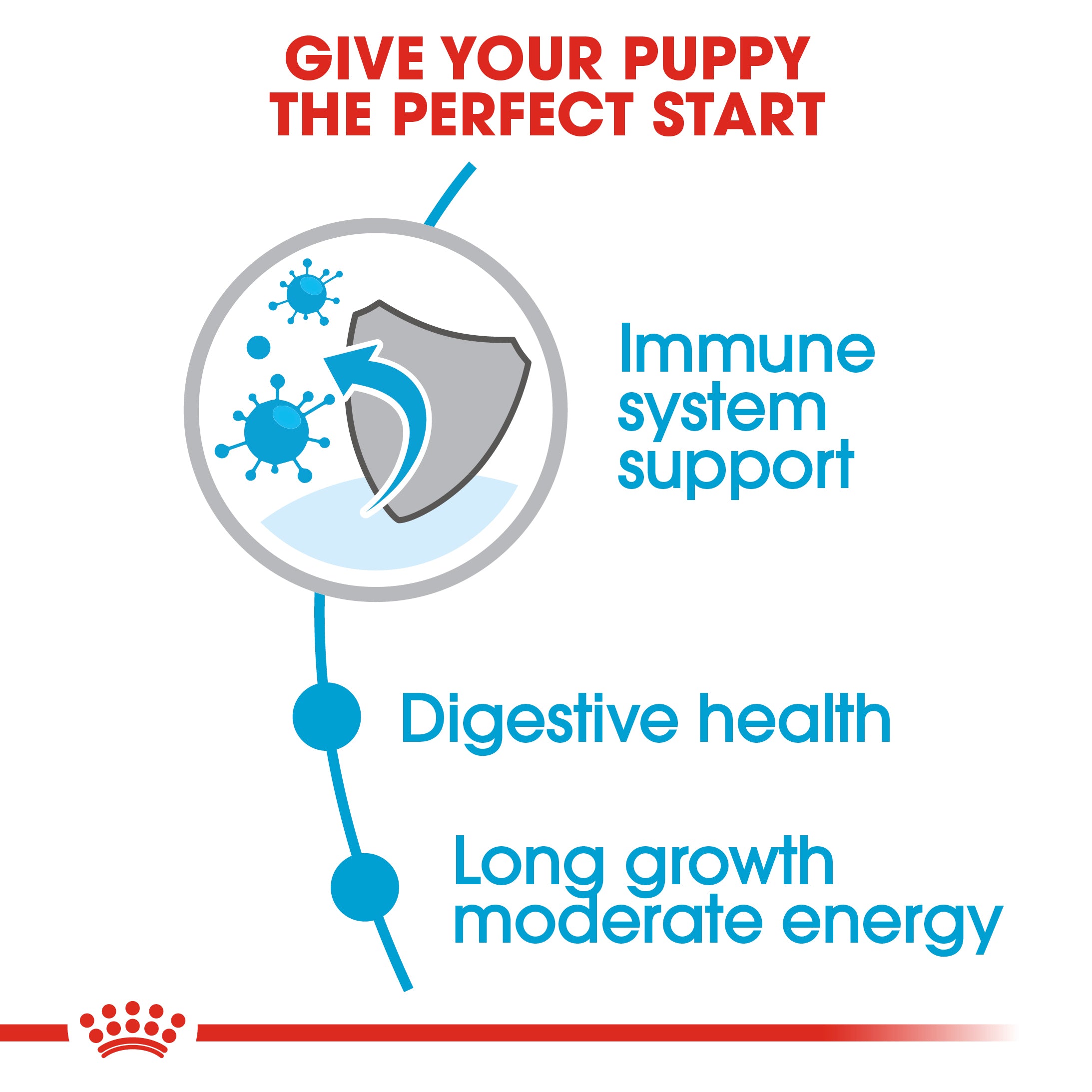 Royal Canin Maxi Puppy (4 KG) - Dry food for large dogs - Adult weight from 26 to 44 KG. From 2 to 15 months