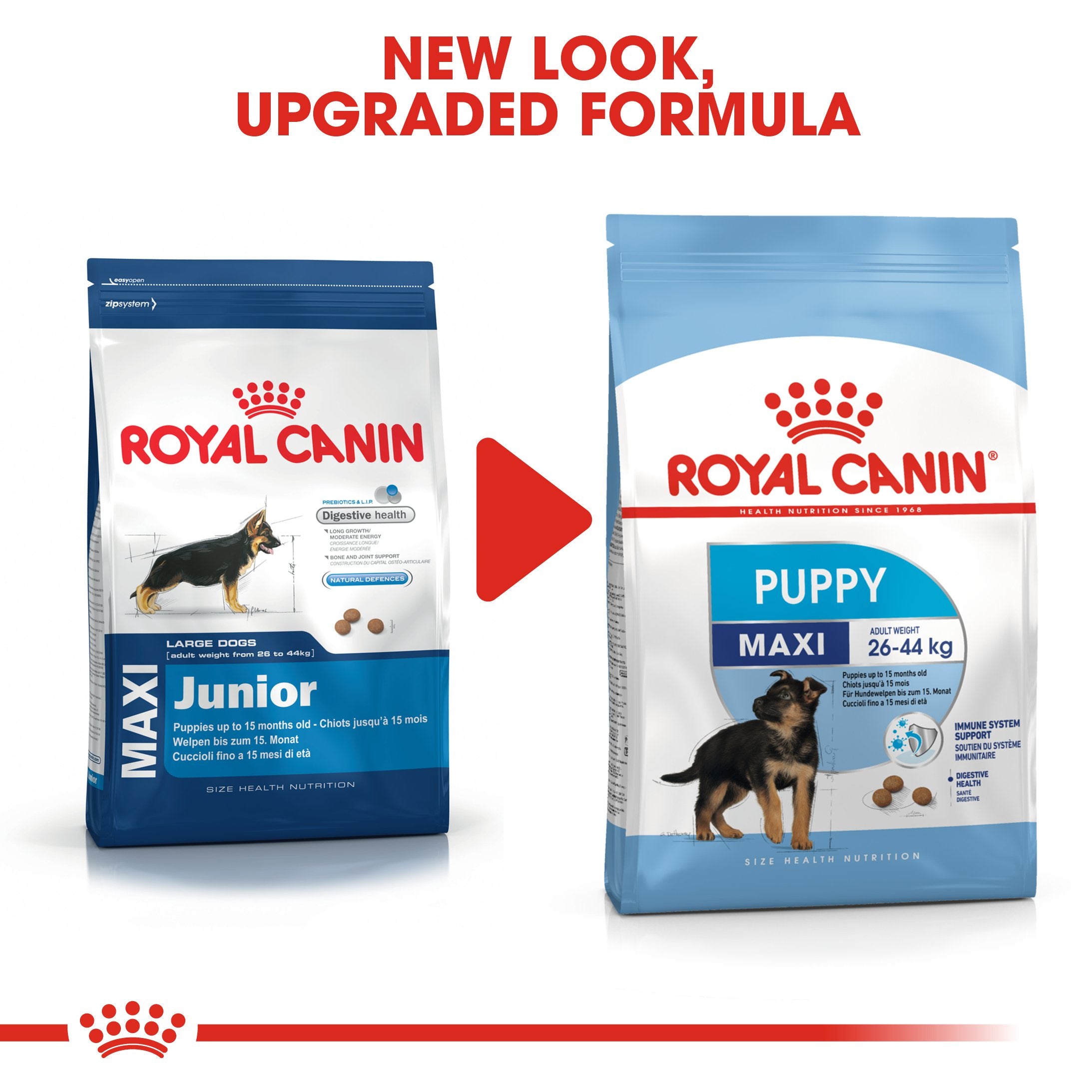 Royal Canin Maxi Puppy (16 KG) - Dry food for large dogs - Adult weight from 26 to 44 KG. From 2 to 15 months - Amin Pet Shop