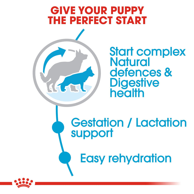 Royal Canin Maxi Starter Mother and Babydog (4 KG) - Dry food for large puppies - Adult weight between 26 and 44 KG. Mother during gestation and lactation - Weaning puppies up to 2 months - Amin Pet Shop