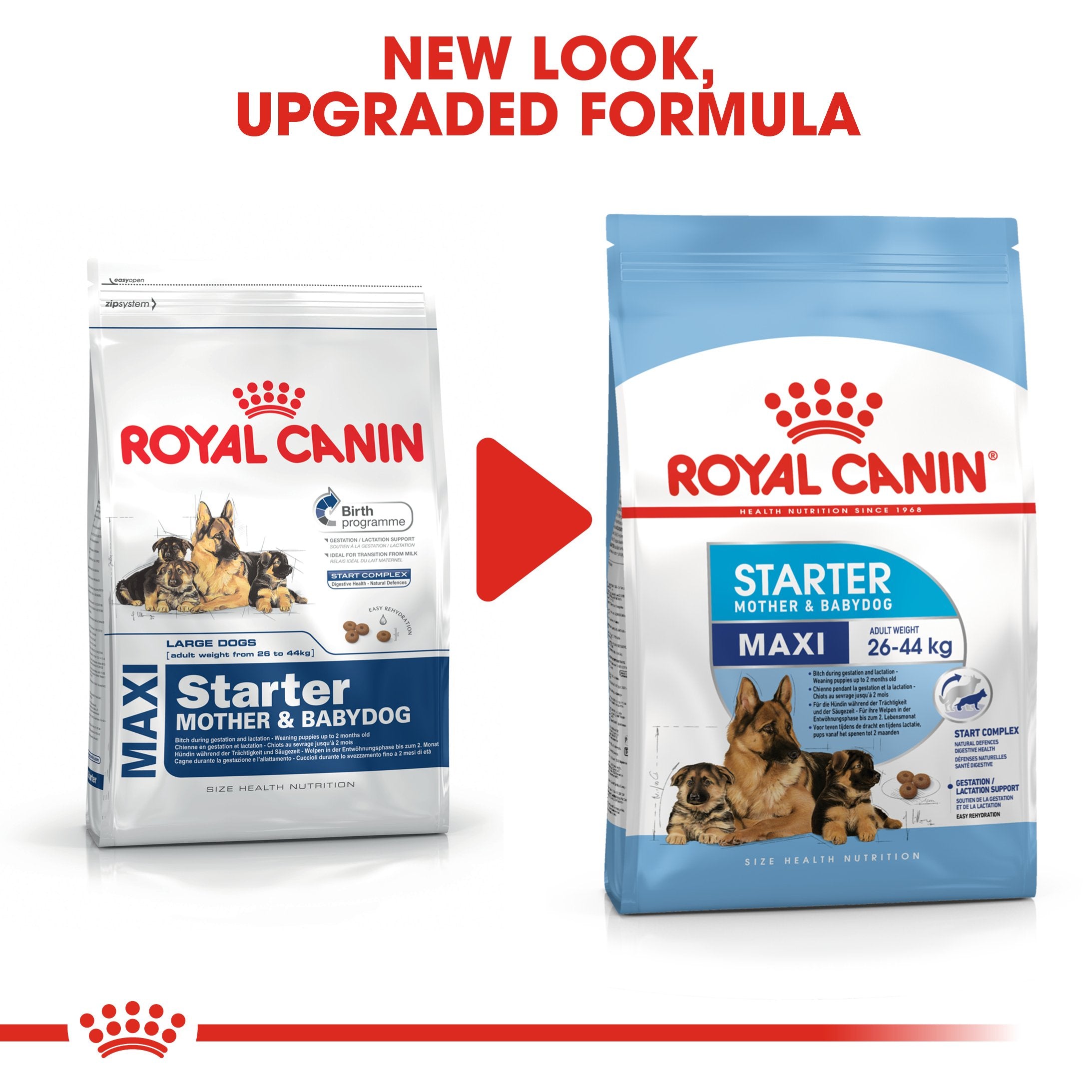 Royal Canin Maxi Starter Mother and Babydog (4 KG) - Dry food for large puppies - Adult weight between 26 and 44 KG. Mother during gestation and lactation - Weaning puppies up to 2 months - Amin Pet Shop