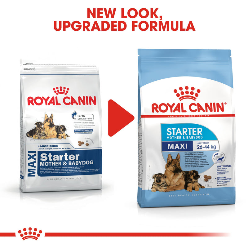 Royal Canin Maxi Starter Mother and Babydog (15 KG) - Dry food for large puppies - Adult weight between 26 and 44 KG. Mother during gestation and lactation - Weaning puppies up to 2 months - Amin Pet Shop