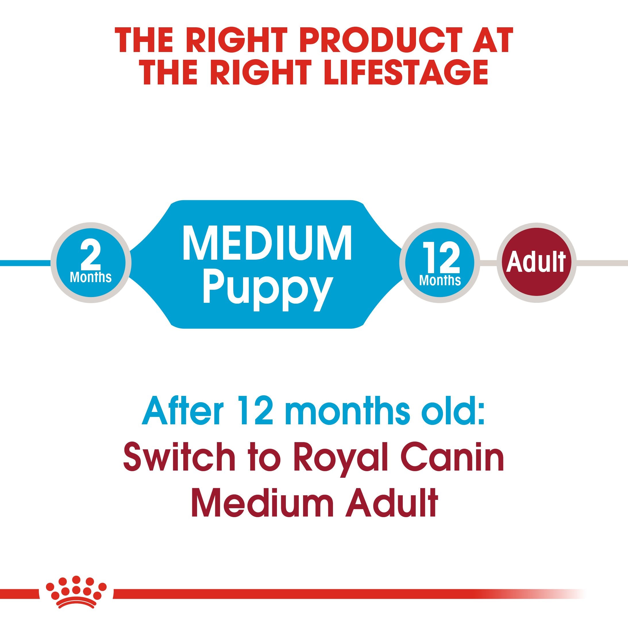 Royal Canin Medium Puppy (15KG) - Dry food for medium dogs - adult weight from 11 to 25 KG. from 2 to 12 months - Amin Pet Shop