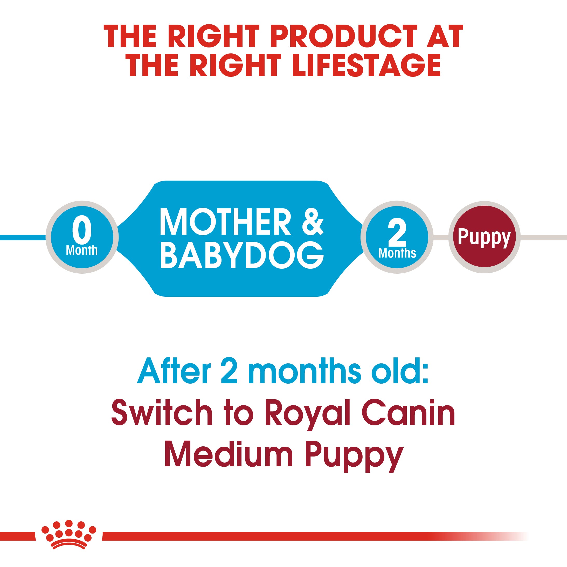 Royal Canin Medium Starter Mother and Babydog (4kg) - for medium dogs - Adult weight between 11 and 25 KG. Mother during gestation and lactation - weaning puppies up to 2 months