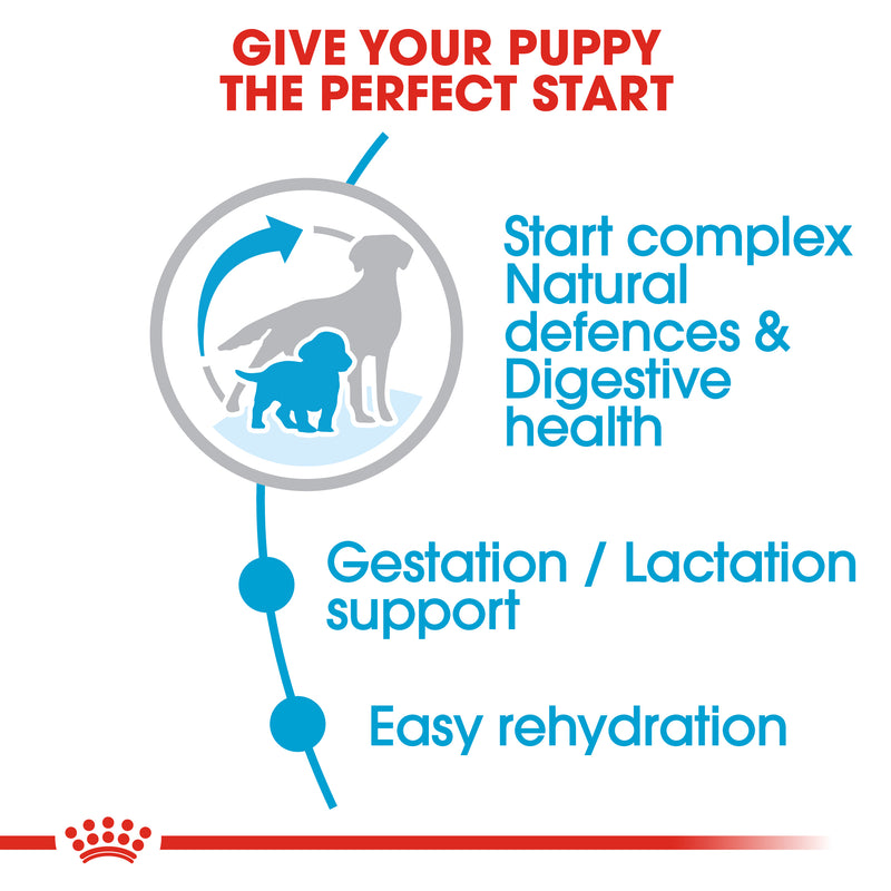 Royal Canin Medium Starter Mother and Babydog (4kg) - for medium dogs - Adult weight between 11 and 25 KG. Mother during gestation and lactation - weaning puppies up to 2 months