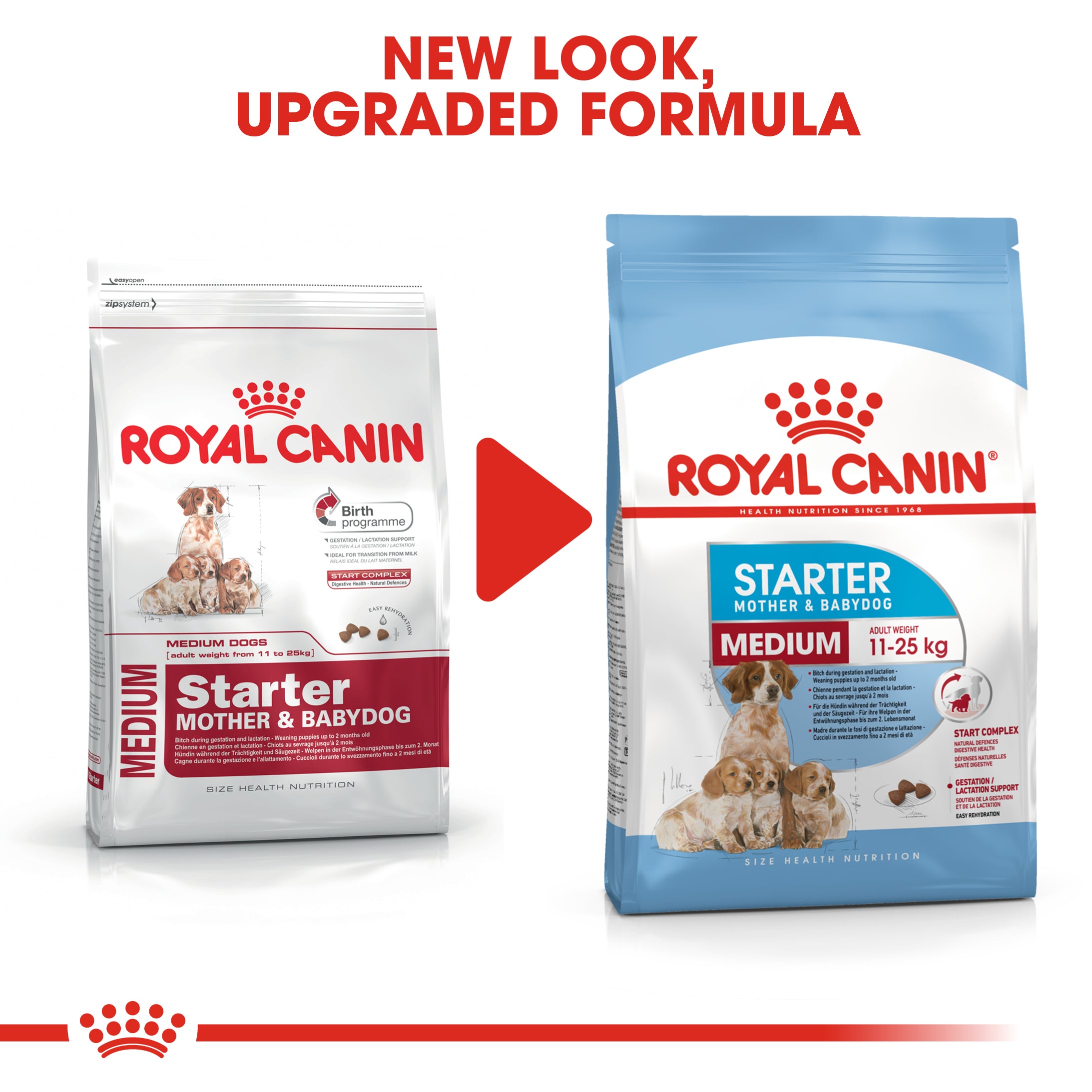 Royal Canin Medium Starter Mother and Babydog (4kg) - for medium dogs - Adult weight between 11 and 25 KG. Mother during gestation and lactation - weaning puppies up to 2 months