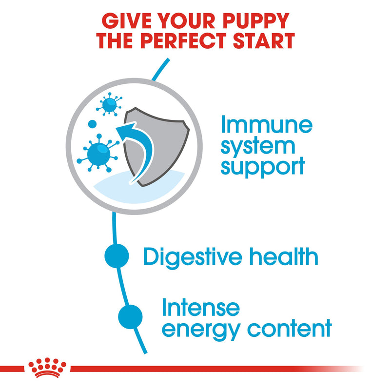 Royal Canin Mini Puppy (4KG) - Dry food for small dogs - Adult weight up to 10 KG From 2 to 10 months old