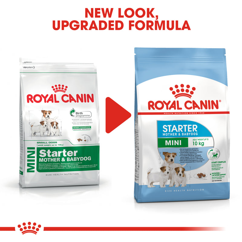 Royal Canin Mini Starter Mother & Babydog (1 KG) - Dry food for mini puppies. Adult weight up to 10 KG - Mother during gestation and lactation - Weaning puppies up to 2 months