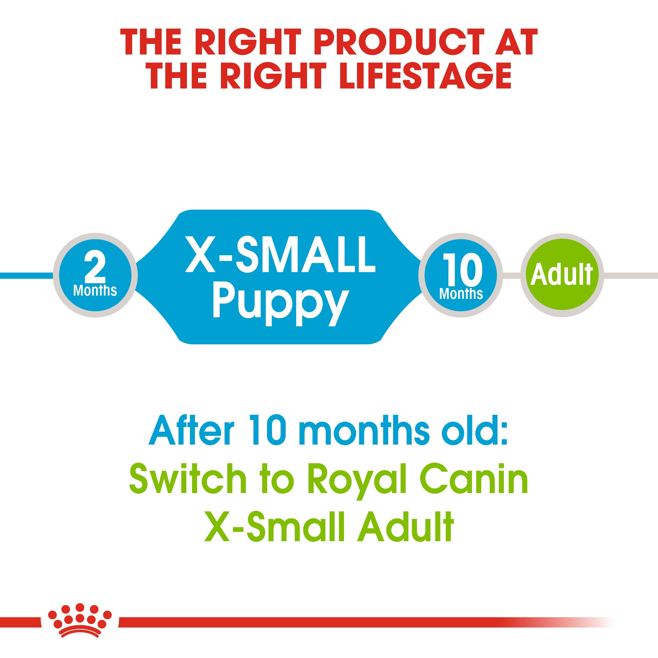 Royal Canin X-Small Puppy (1.5 KG) - Dry food for very small dogs - Adult weight up to 4 KG. Up to 10 months