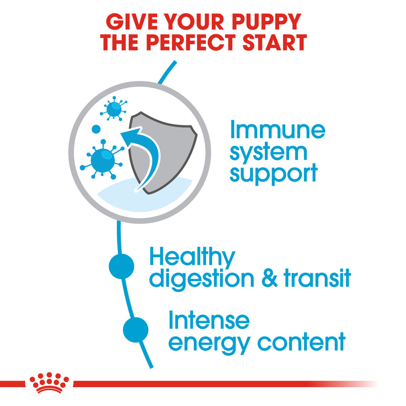 Royal Canin X-Small Puppy (1.5 KG) - Dry food for very small dogs - Adult weight up to 4 KG. Up to 10 months