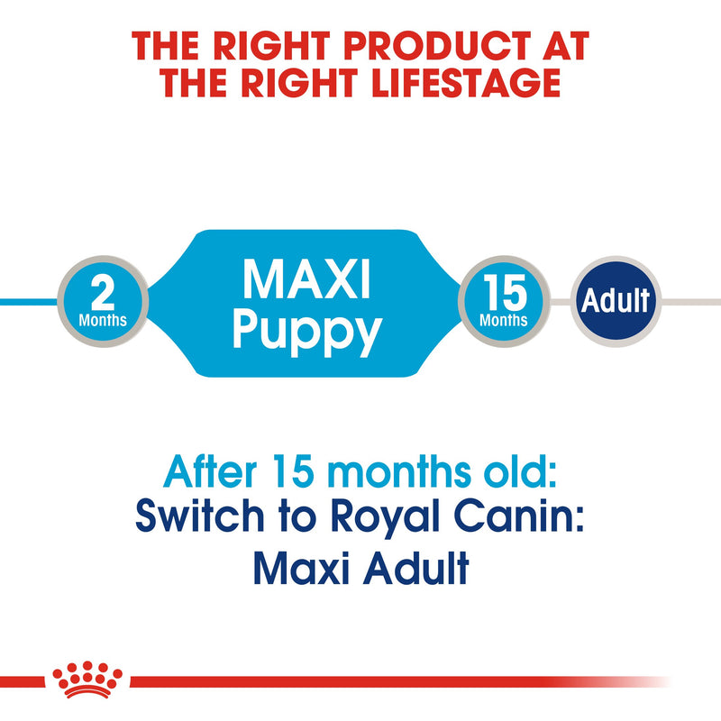 Royal Canin Maxi Puppy in Gravy (140 gm\pouch) - wet food for large dogs - Adult weight from 26 to 44 KG. From 2 to 15 months - Amin Pet Shop
